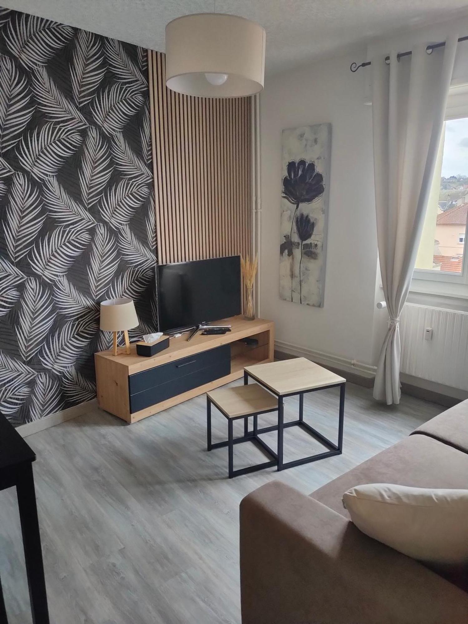 L'europ'appart : Gare, Center Parcs, Parc St Croix Appartamento *